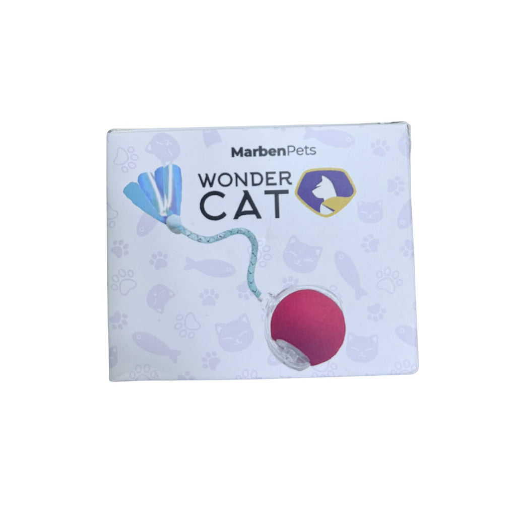 Pelota Interactiva WonderCat
