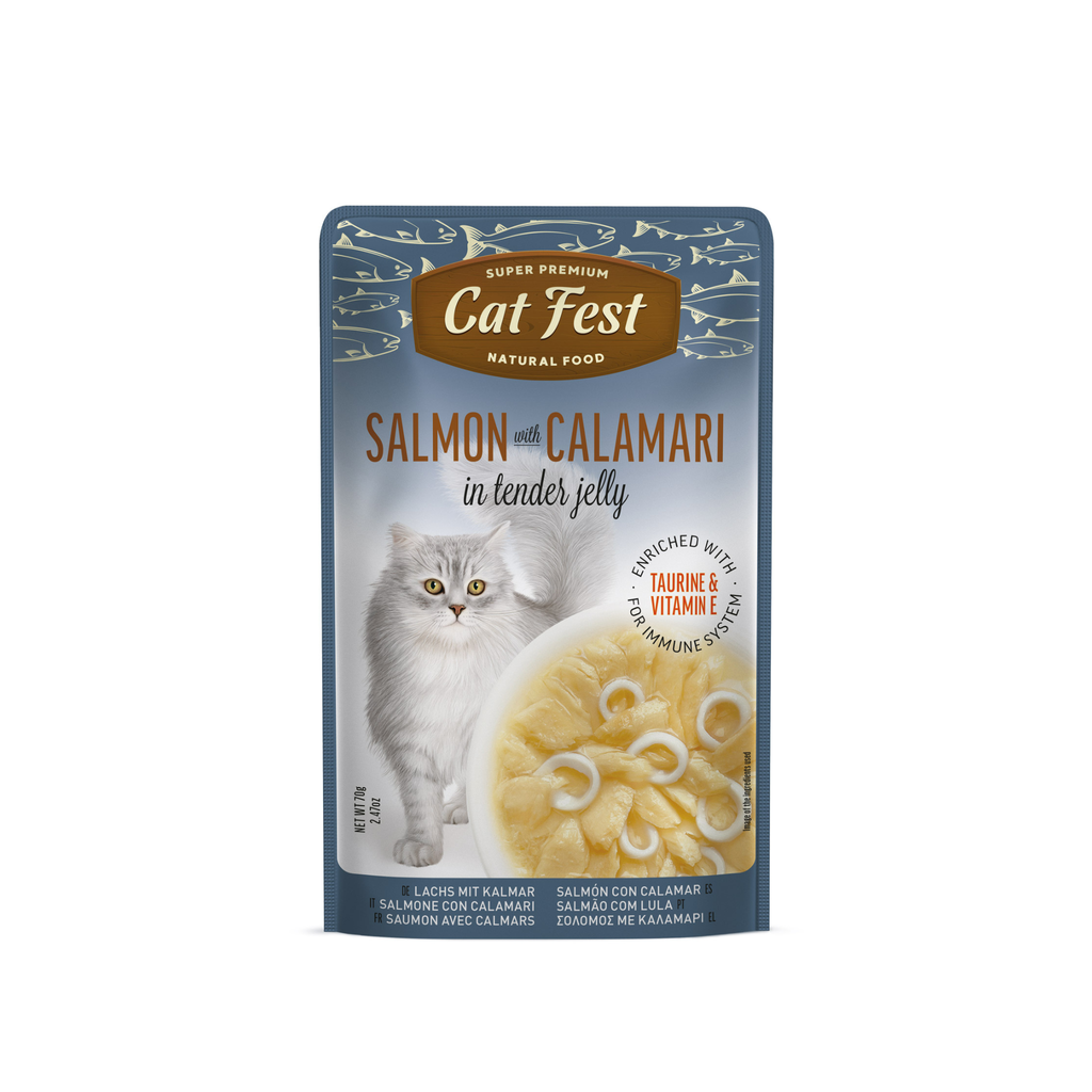 Alimento húmedo sachet salmón con calamar para gatos adultos CatFest Pouch 70 GR fondo blanco