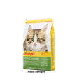 Alimento seco sin cereales para gatitos desde 2 meses Josera DailyCat Kitten 2 KG