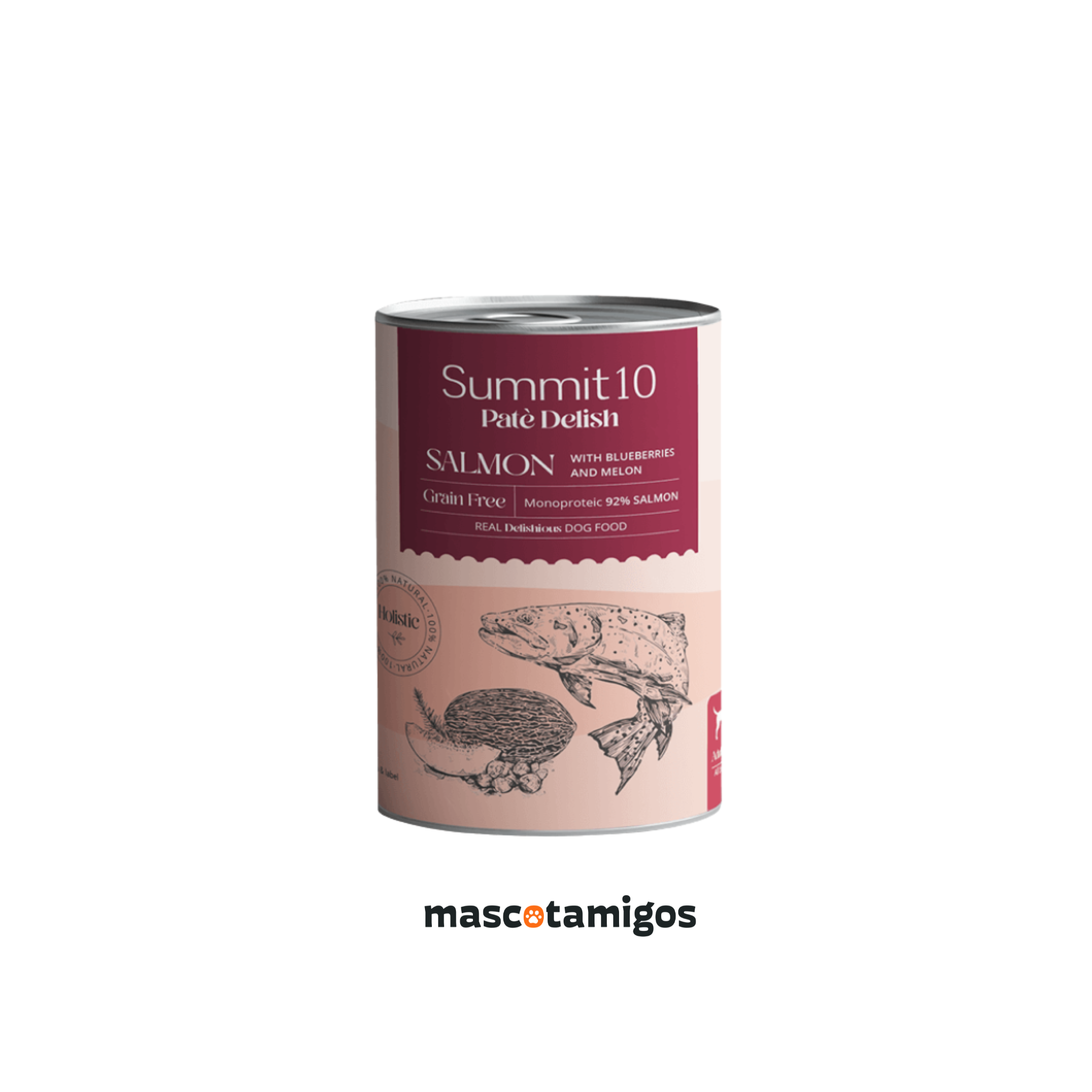 Alimento húmedo paté para perros adultos Summit 10 Delish Salmón Arándanos y Melón 400 GR