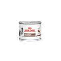 Alimento húmedo veterinario recuperación para perros y gatos Royal Canin Recovery lata 145 GR fondo blanco