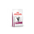 Alimento seco dietético veterinario para gatos adultos con insuficiencia renal Royal Canin Renal Felino 2 KG fondo blanco