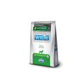 Alimento dietético para perros adultos con insuficiencia renal VetLife Renal Canino 2 KG fondo blanco